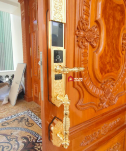 Alternative view of Khoá Thông Minh Đại Sảnh Mạ Vàng DM SL986 Gold Wifi